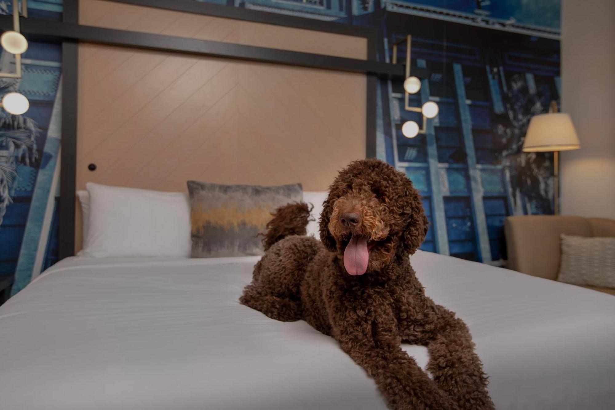 Hotel Indigo Jacksonville-Deerwood Park By Ihg Dış mekan fotoğraf